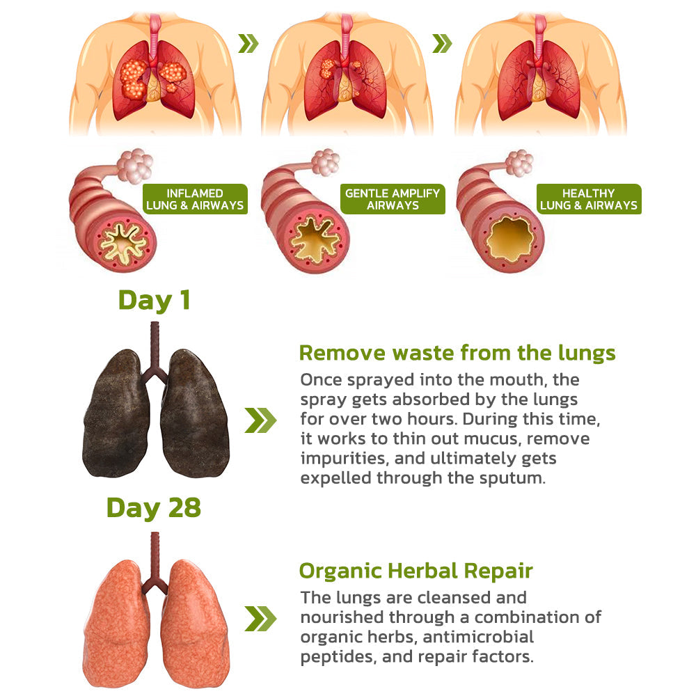 GFOUK™️ BreathDetox Herbal Lung Cleansing Spray